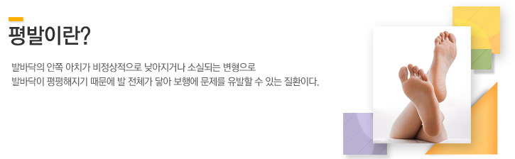 발바닥의 안쪽 아치가 비정상적으로 낮아지거나 소실되는 변형으로 발바닥이 평평해지기 때문에 발 전체가 땅아 보행에 문제를 유발할 수 있는 질환이다. 
