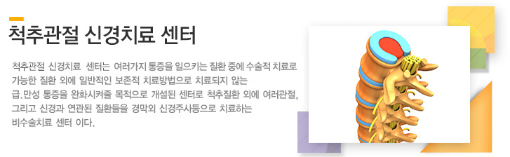 척추관절 신경치료 센터는 여러 가지 통증을 일으키는 질환 중에
						수술적 치료로 가능한 질환 외에 일반적인 보존적 치료방법으로
						치료되지 않는 급. 만성 통증을 완화시켜줄 목적으로 개설된 센터로
						척추질환 외에 여러 관절, 그리고 신경과 연관된 질환들을
						경막외 신경주사등으로 치료하는 비수술치료 센터이다.		